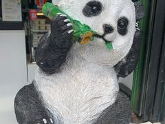-六时安·熊猫张甜品店(东关街店)