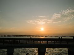 -宝安西湾红树林湿地公园