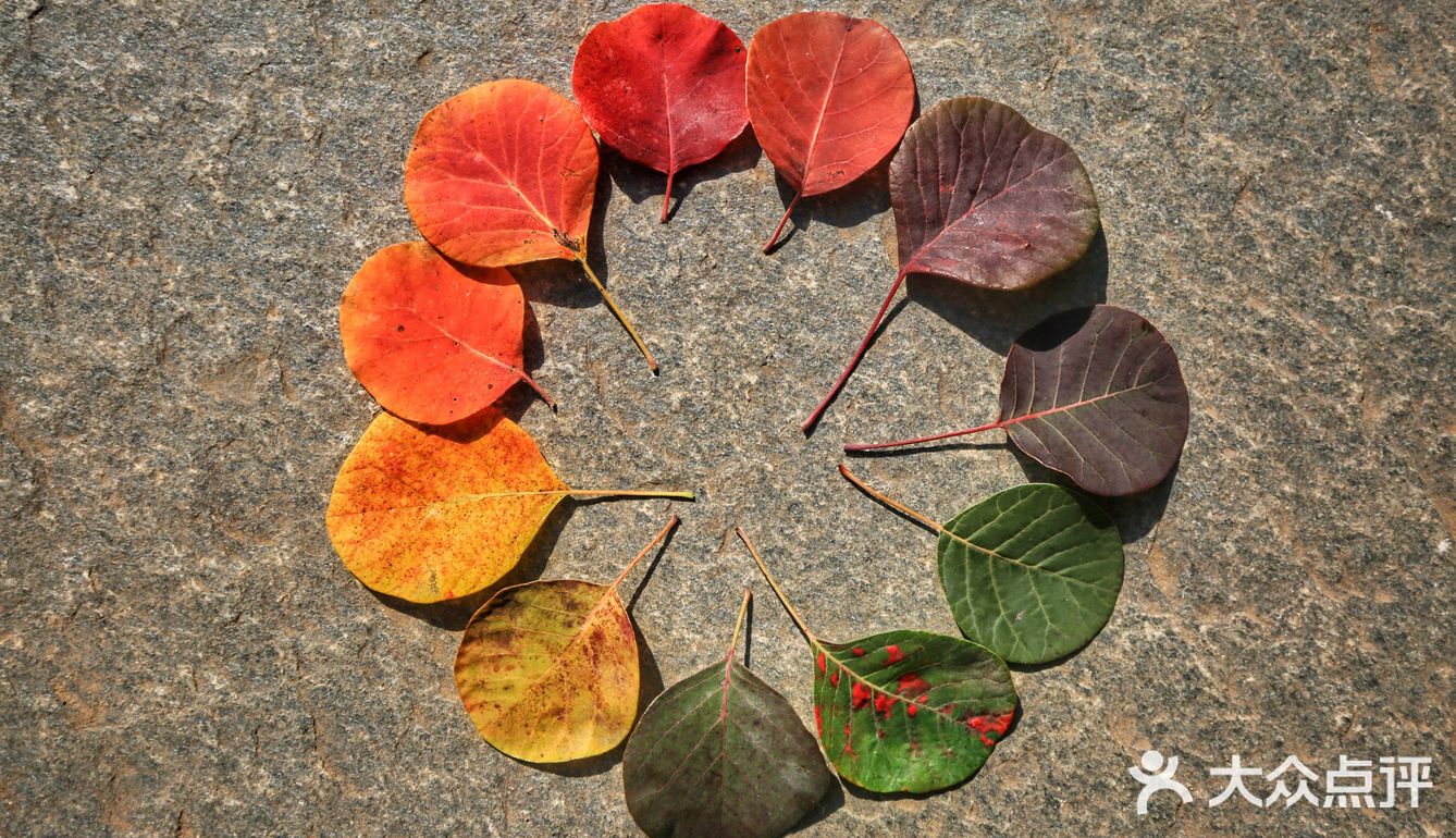 休息区，完全不用担心爬不上去