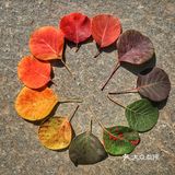 休息区，完全不用担心爬不上去