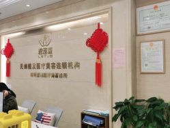 -碧莲盛·不剃发植发