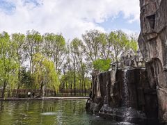 -黑龙江省森林植物园