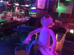 -老木头音乐空间(月河街店)