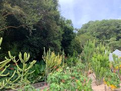 -深圳仙湖植物园
