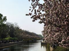 -元大都城垣遗址公园