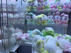 -卡通尼乐园(上海安亭店)