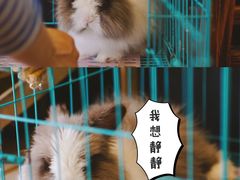 -志龙皇冠吃货椰子铺