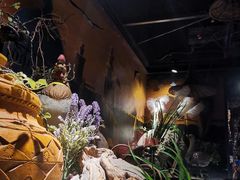 -楼兰新疆主题餐厅(坂田佳华领汇广场店)