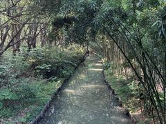-同里国家湿地公园