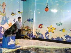 -太平洋海底世界