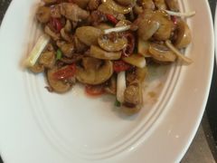 小炒鲜口蘑-眉州东坡(博雅店)
