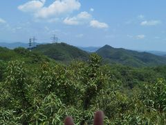 -大屏嶂森林公园