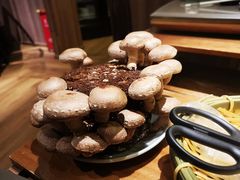 活体松香菇-捞王锅物料理(上海世茂广场店)