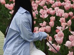 -苏州上方山国家森林公园