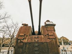 -上海吴淞炮台湾国家湿地公园