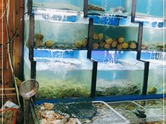 水产区-老东镇啤酒屋海鲜加工·蒸汽海鲜·海鲜烧烤(台东店)