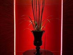 -L'ATELIER de Joel Robuchon(外滩18号店)