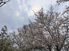 -堤角公园