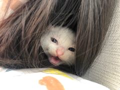 -Madeleine玛德琳(永平里店)