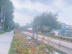 -元大都城垣遗址公园