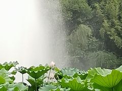 -龙头寺公园
