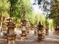 -四门塔风景区