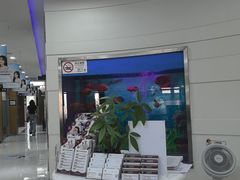 -雅悦齿科(顾村公园店)