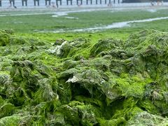 -ChanDu躔度咖啡(灯塔店)