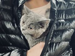 -1013 PET SHOP 宠物商店(近铁城市广场店)