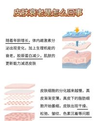 -玛莲朵·海菲秀冰珀科