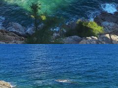 -广东惠东海龟国家级自然保护区