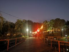 -纪念孙中山市政公园