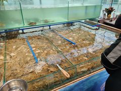 水产区-得鑫源自助火锅烤肉店(哥伦布广场店)