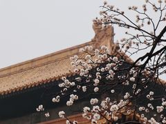 -故宫博物院(故宫)