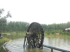 -合肥滨湖国家森林公园