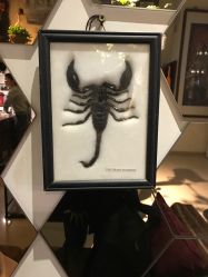 -周忆刺青原创设计定制