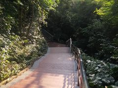 -长安公园