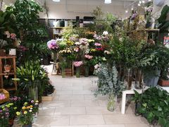 -T11生鲜超市(朝阳公园店)