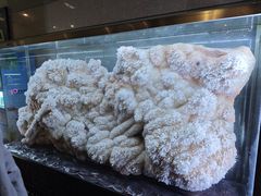 -湖南省地质博物馆