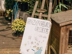-海边的猫和咖啡馆