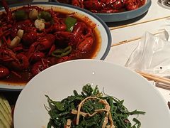 -杨氏青龙虾·羊蝎子(托乐嘉店)