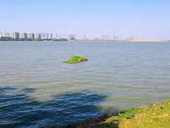 -艾溪湖湿地公园