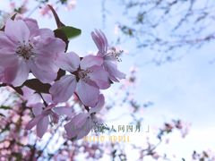 -荆川公园