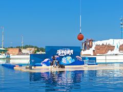 -秦皇岛乐岛海洋王国