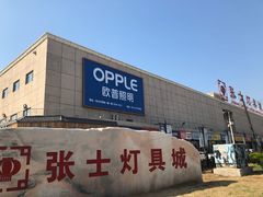 -张士灯具城(家居优选店)