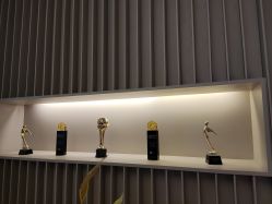 -Yestar艺星医疗美容医院