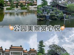 -顺峰山公园