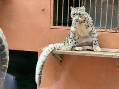 -青藏高原野生动物园