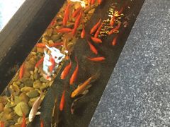 -颐和•海鲜砂锅粥•啫啫煲(奥林匹克广场店)