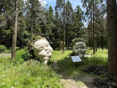 -东平国家森林公园